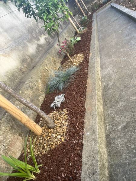 Création de massif dans un jardin à Toulon