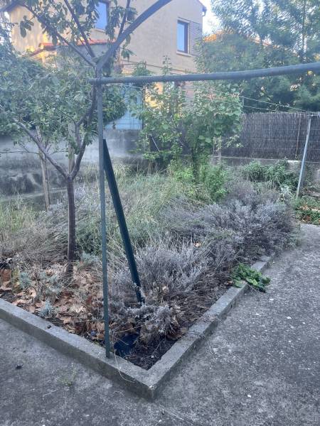 Massif à nettoyer et réaménager dans un jardin à Toulon