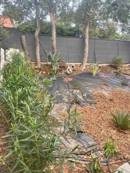 Mise en place d'une bâche et plantation