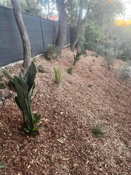 Création d’un massif paysager avec paillage bois à Saint Avertin en Indre et Loire