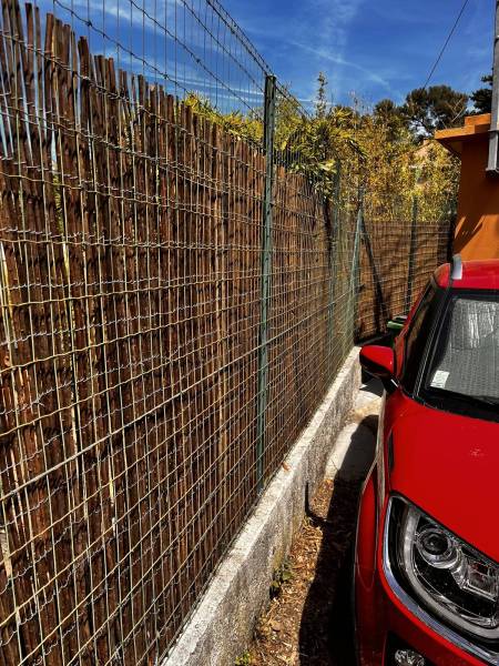 Installation d’un brise-vue naturel pour préserver l’intimité d’un jardin à Saint Cyr sur Loire en région Centre Val de Loire